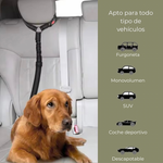 Arnés y cinturón de seguridad 2 en 1 – Ajustable para llevar a mascotas en el coche